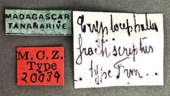 Media type: image; Entomology 20039   Aspect: labels